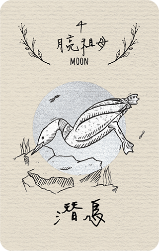 月亮祖母,Moon,藥輪占卜