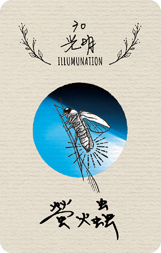 光明,Illumunation,藥輪占卜